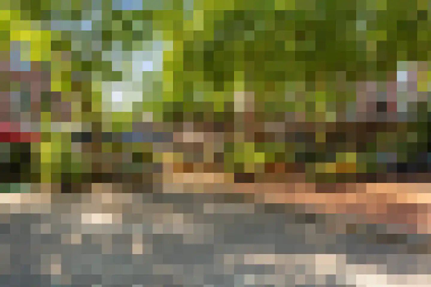 Tolhuisstraat 8 D Rotterdam thumbnail 27