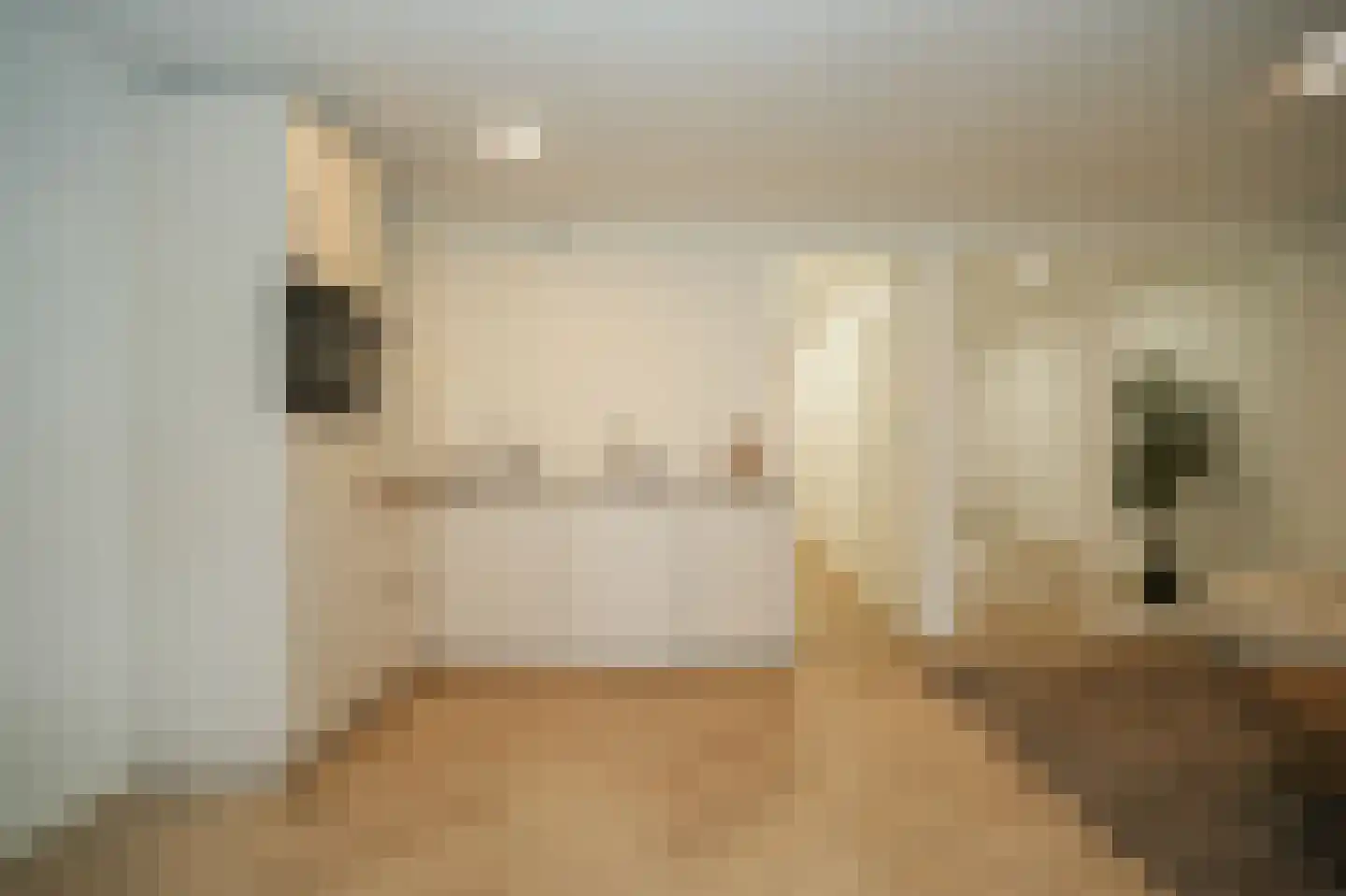 Tolhuisstraat 9 Tiel thumbnail 11