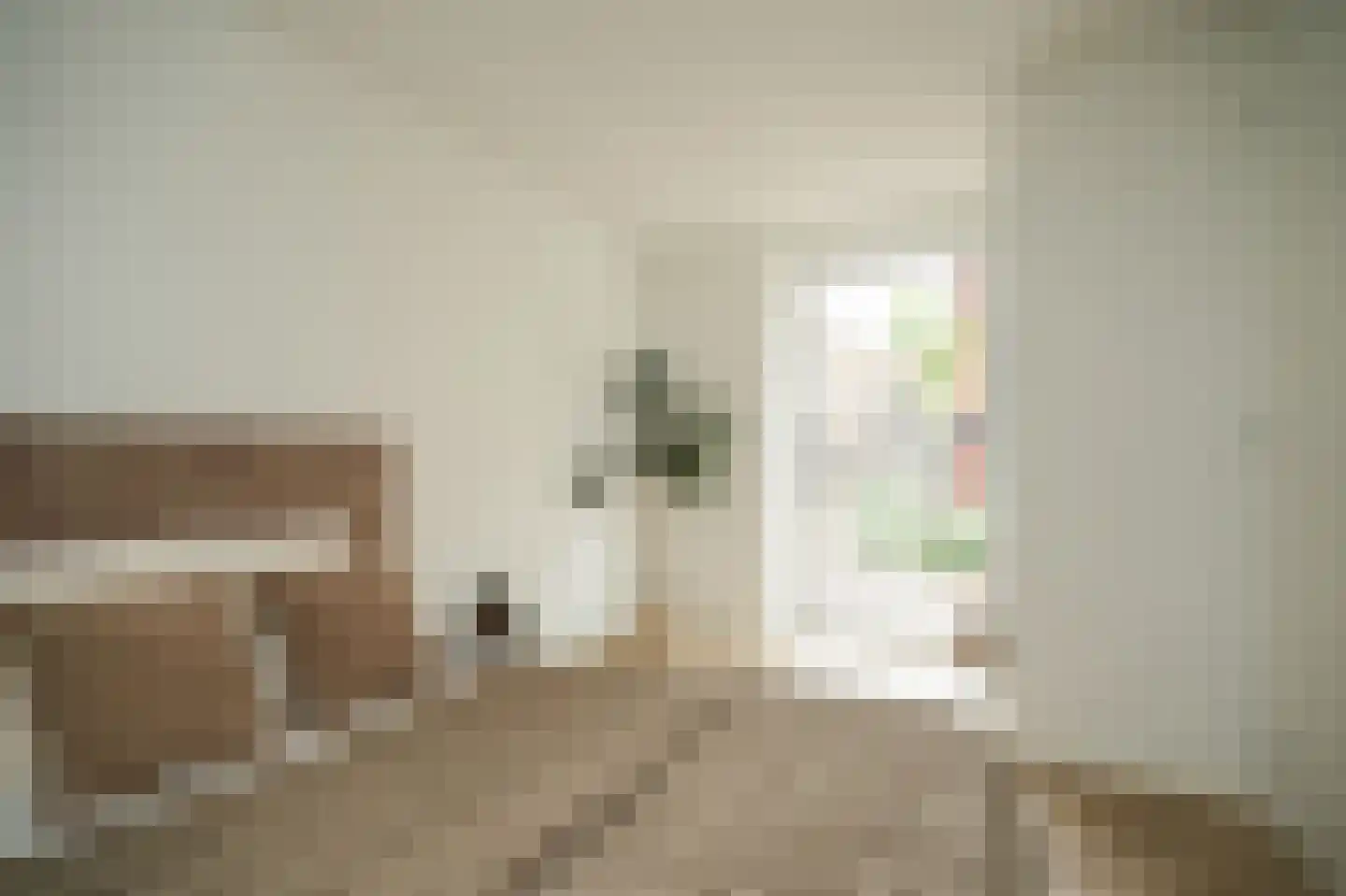 Tolhuisstraat 9 Tiel thumbnail 16