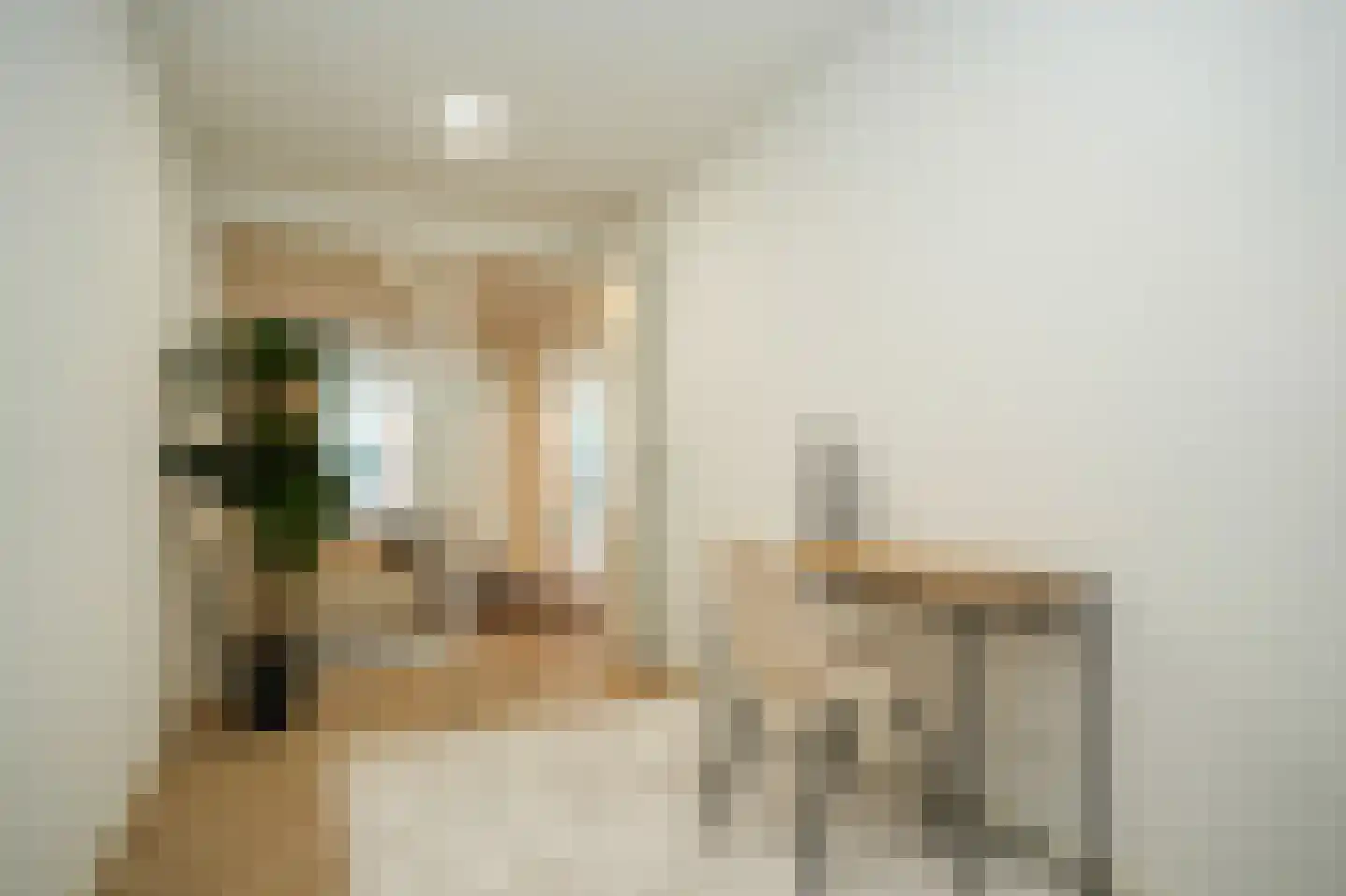 Tolhuisstraat 9 Tiel thumbnail 19
