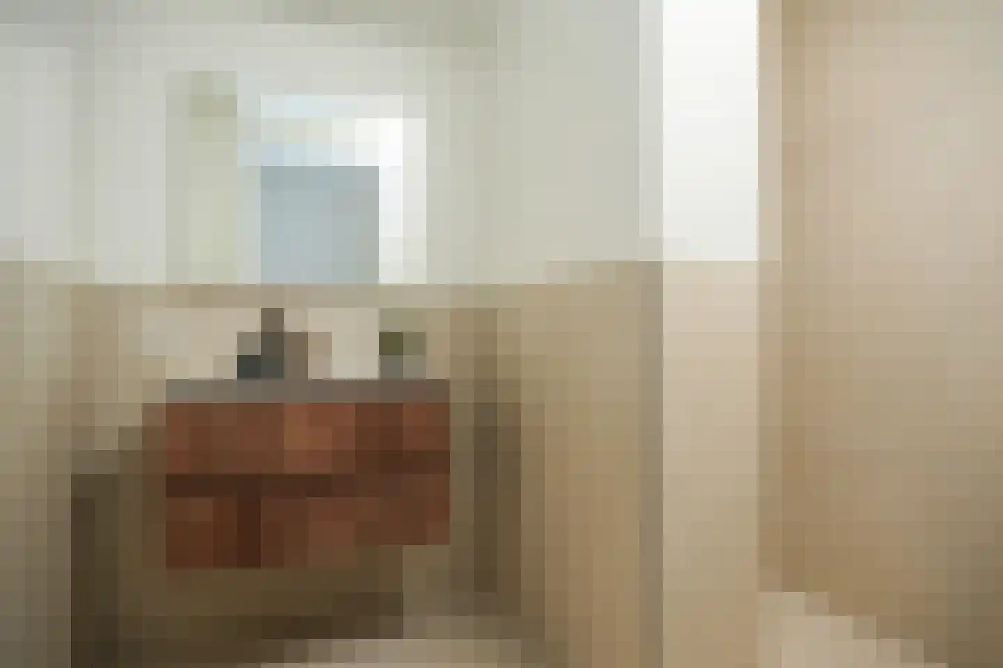 Tolhuisstraat 9 Tiel thumbnail 22