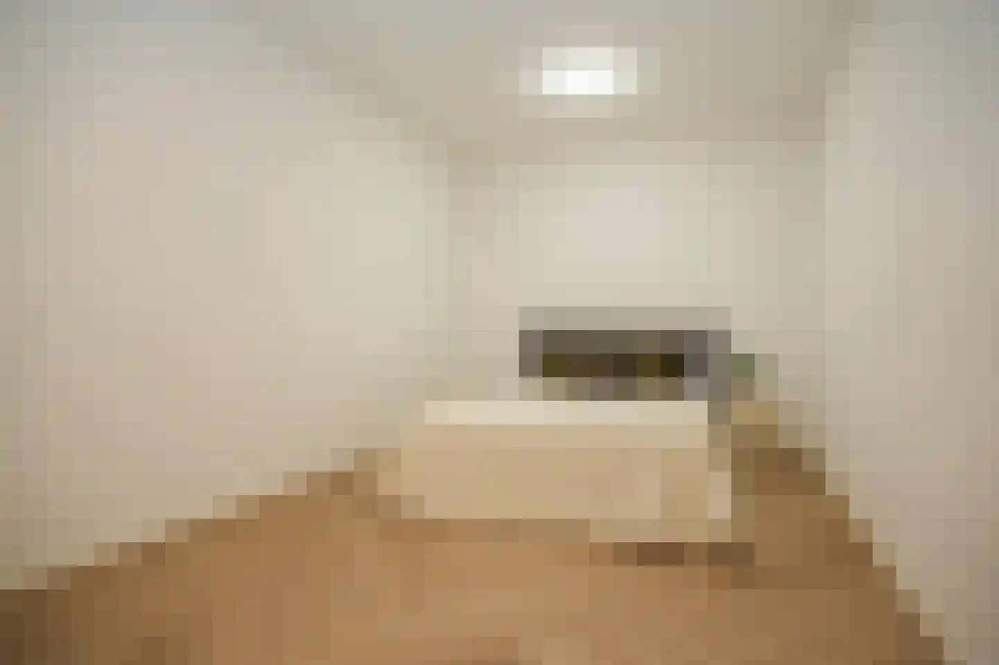 Tolhuisstraat 9 Tiel thumbnail 24