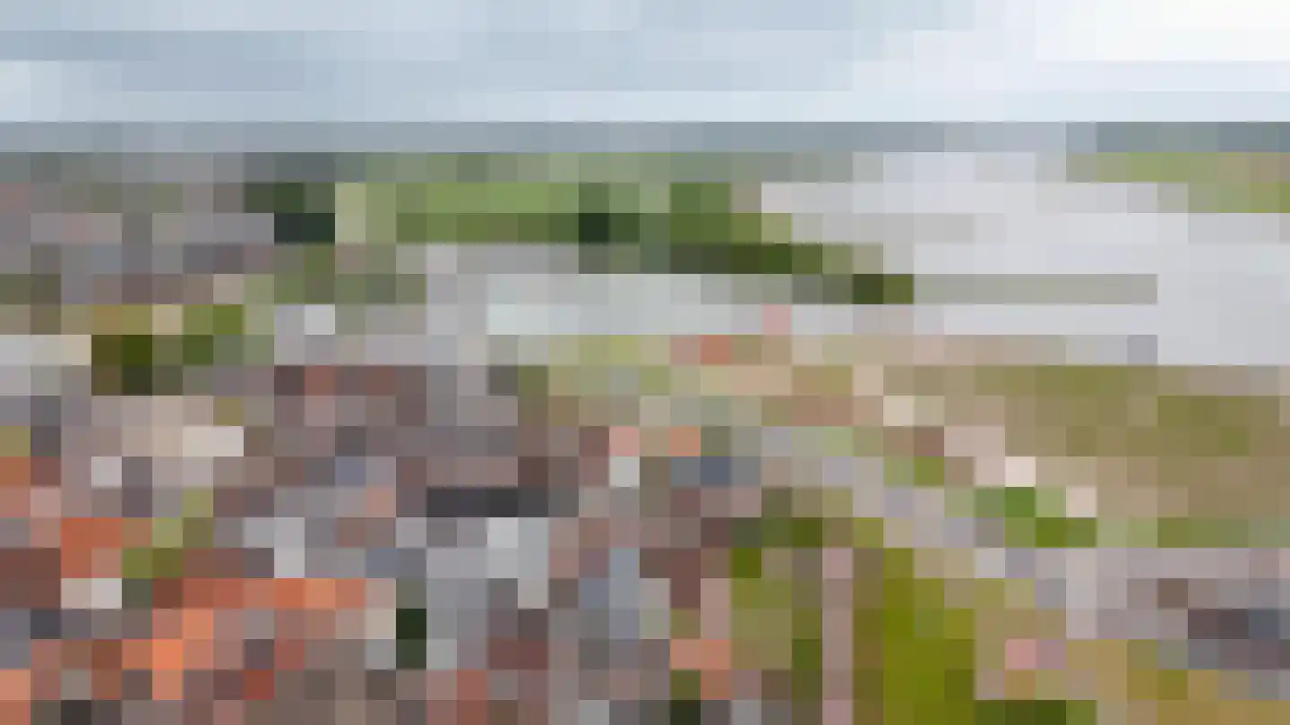 Tolhuisstraat 9 Tiel thumbnail 39
