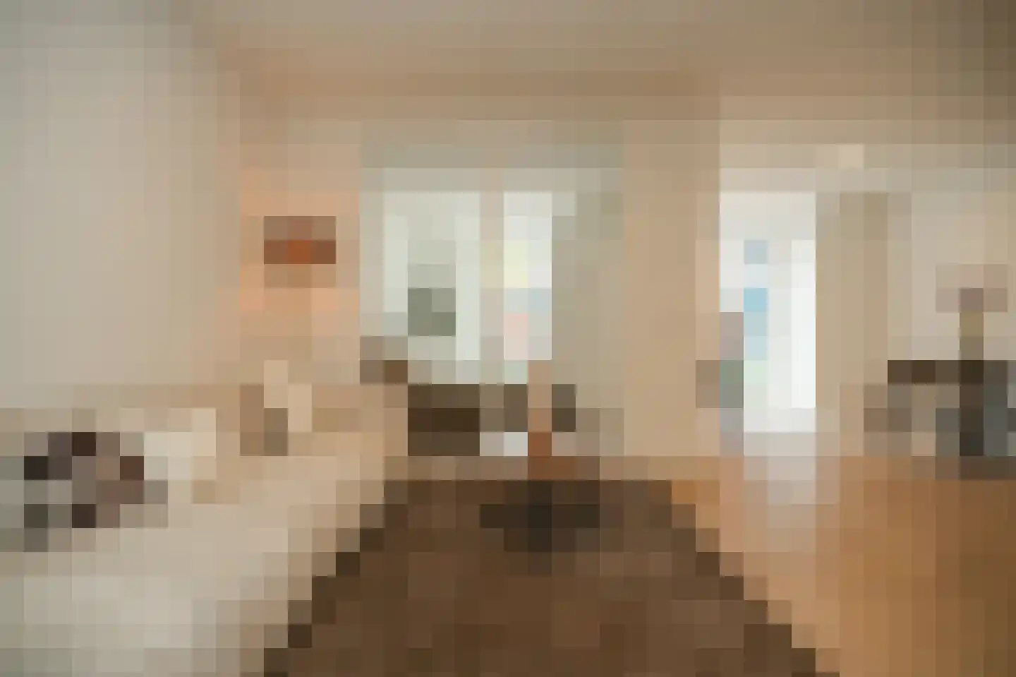 Tolhuisstraat 9 Tiel thumbnail 4