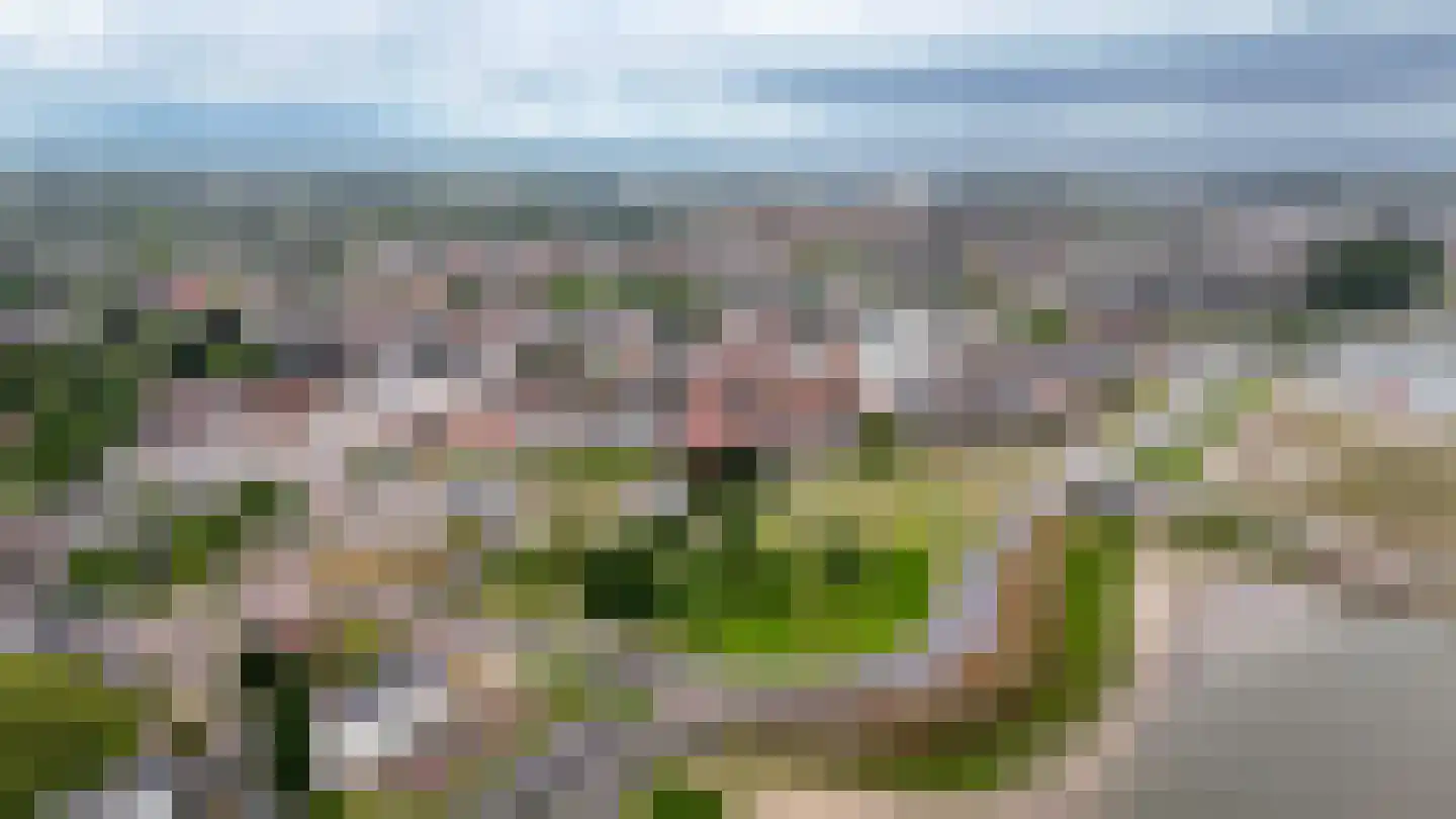 Tolhuisstraat 9 Tiel thumbnail 41