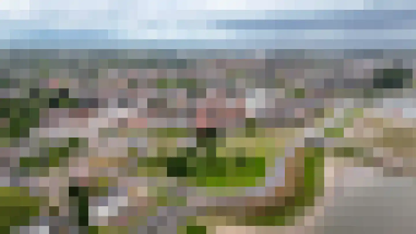 Tolhuisstraat 9 Tiel thumbnail 41