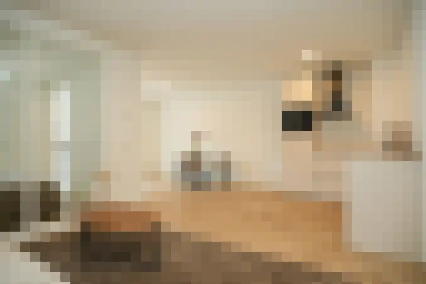 Tolhuisstraat 9 Tiel thumbnail 7