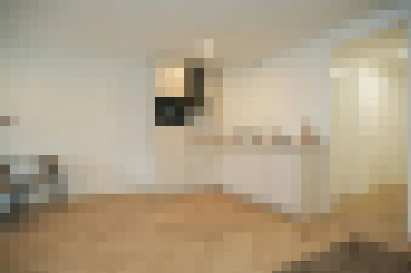 Tolhuisstraat 9 Tiel thumbnail 8
