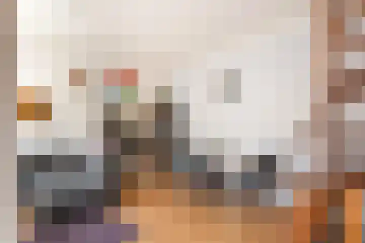 Tolhuiswal 1 Tiel thumbnail 10