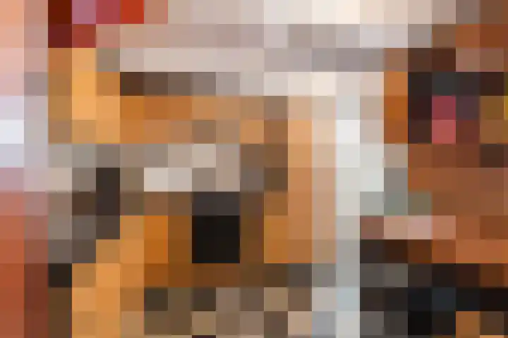 Tolhuiswal 1 Tiel thumbnail 14