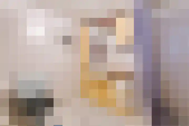 Tolhuiswal 1 Tiel thumbnail 15