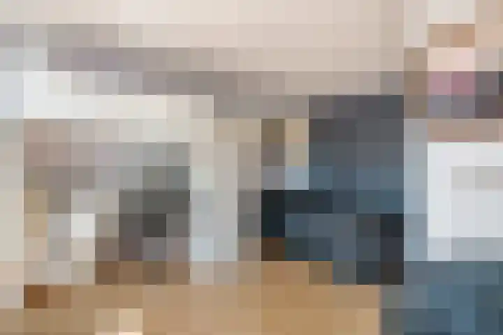 Tolhuiswal 1 Tiel thumbnail 17