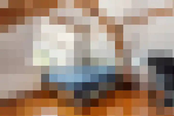 Tolhuiswal 1 Tiel thumbnail 21