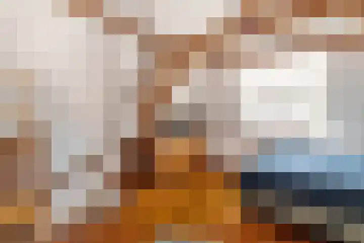 Tolhuiswal 1 Tiel thumbnail 23
