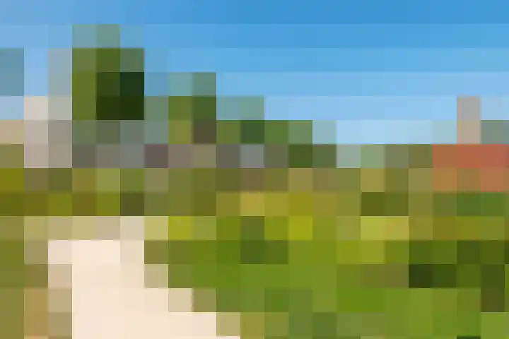 Tolhuiswal 1 Tiel thumbnail 24