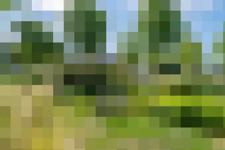 Tolhuiswal 1 Tiel thumbnail 25