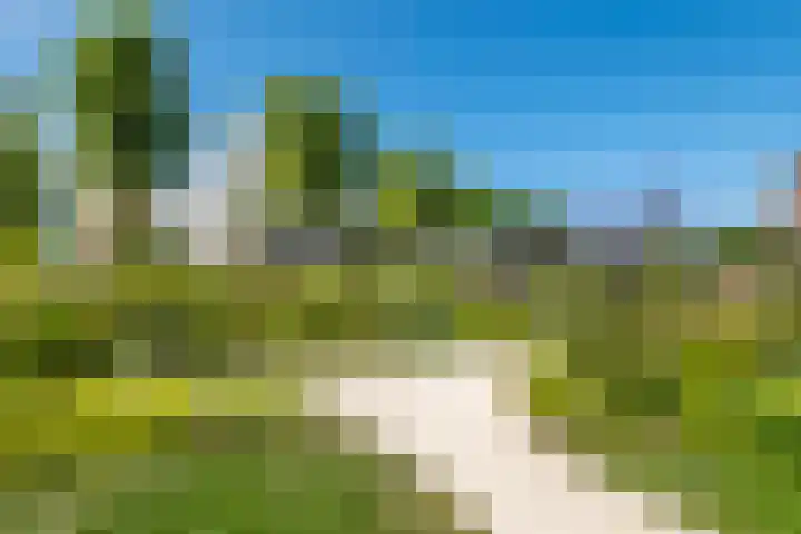Tolhuiswal 1 Tiel thumbnail 26