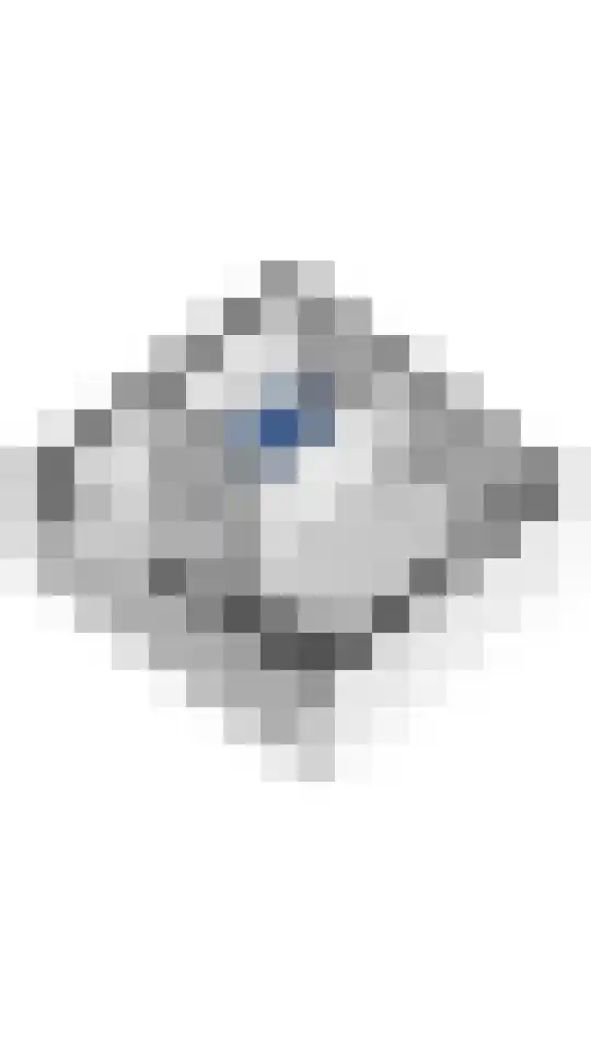 Tolhuiswal 1 Tiel thumbnail 31