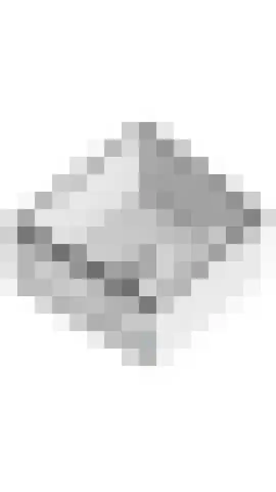 Tolhuiswal 1 Tiel thumbnail 32