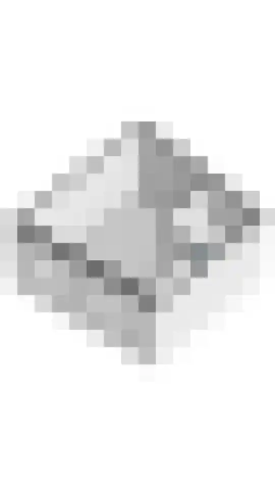 Tolhuiswal 1 Tiel thumbnail 33
