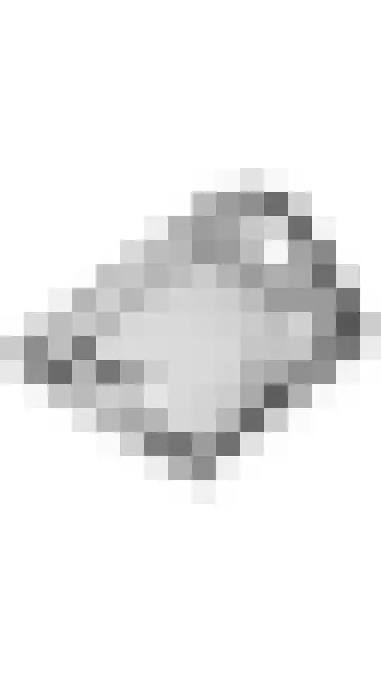 Tolhuiswal 1 Tiel thumbnail 34