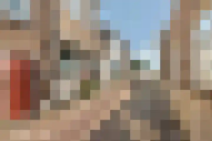 Tolhuiswal 1 Tiel thumbnail 4