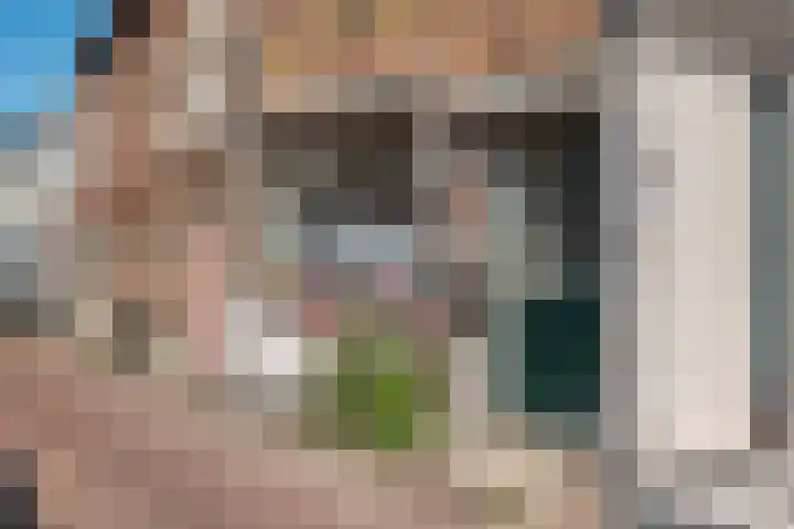 Tolhuiswal 1 Tiel thumbnail 5