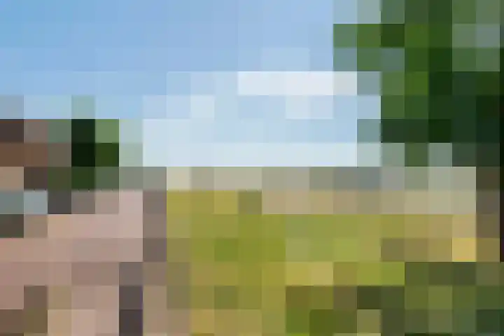 Tolhuiswal 1 Tiel thumbnail 6