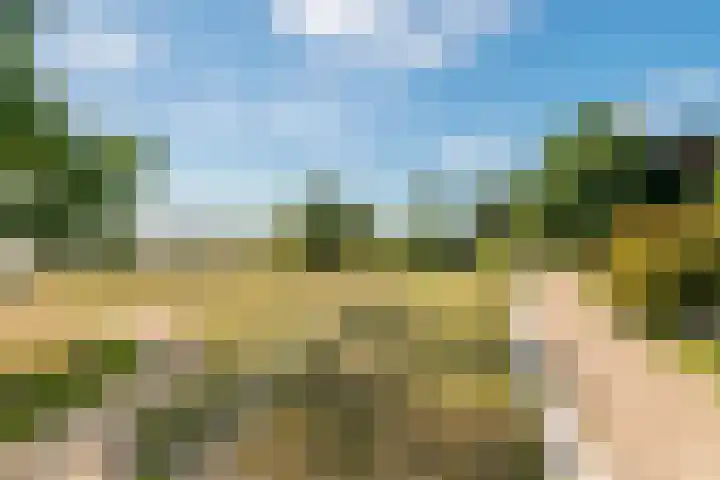 Tolhuiswal 1 Tiel thumbnail 7