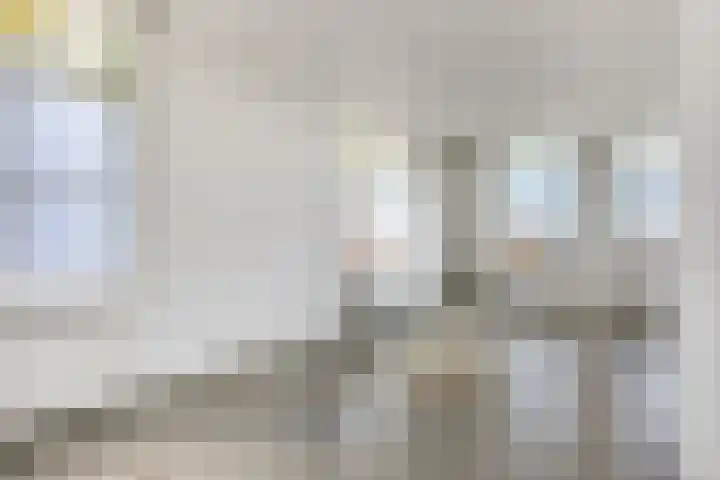 Tolhuiswal 29 Tiel thumbnail 10
