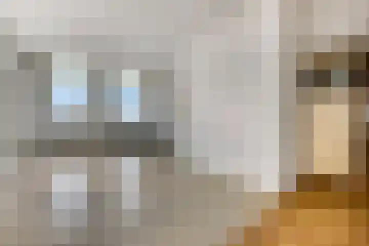 Tolhuiswal 29 Tiel thumbnail 12