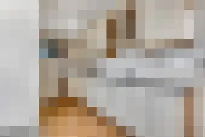 Tolhuiswal 29 Tiel thumbnail 13