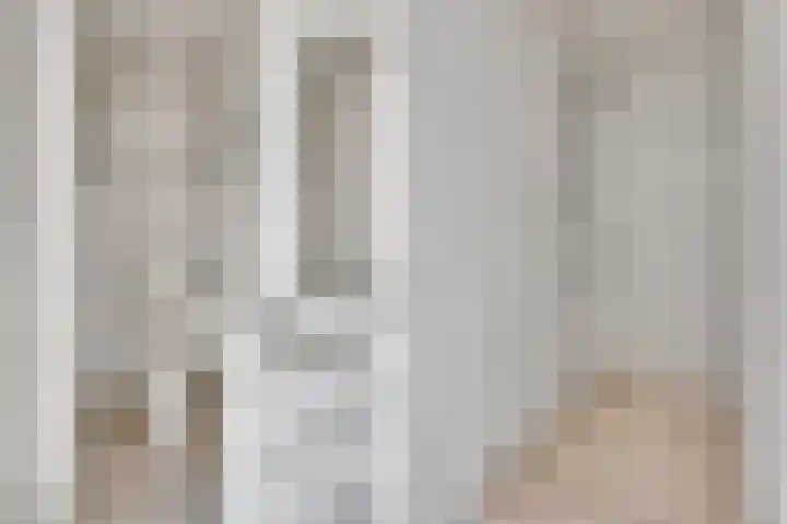 Tolhuiswal 29 Tiel thumbnail 16