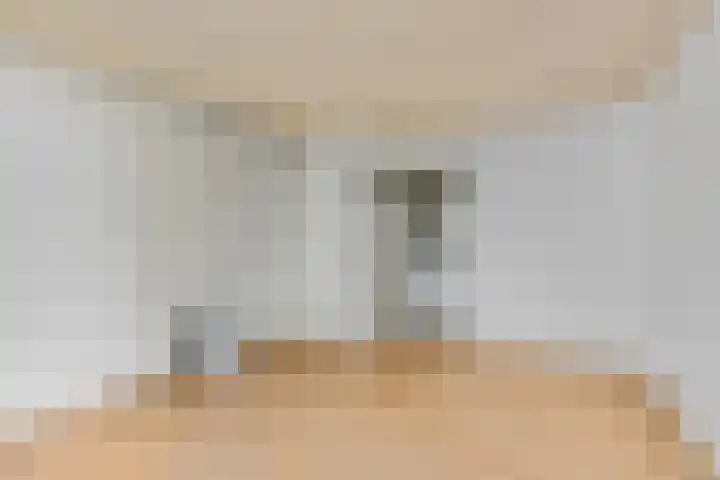 Tolhuiswal 29 Tiel thumbnail 17