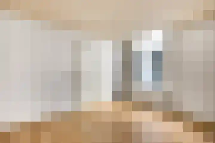 Tolhuiswal 29 Tiel thumbnail 18