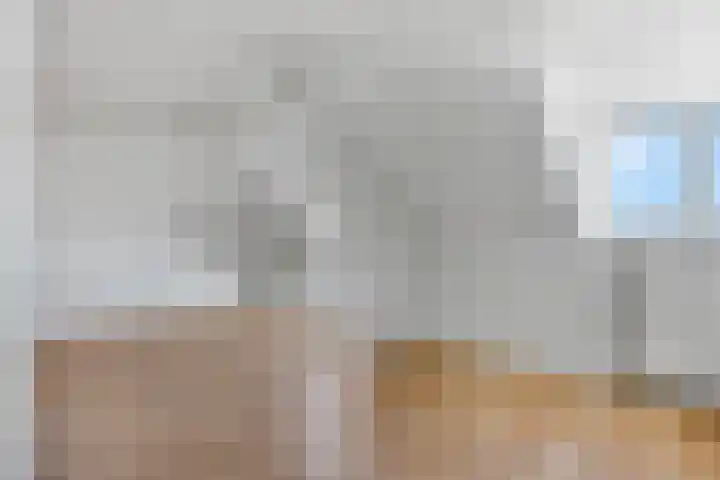 Tolhuiswal 29 Tiel thumbnail 20