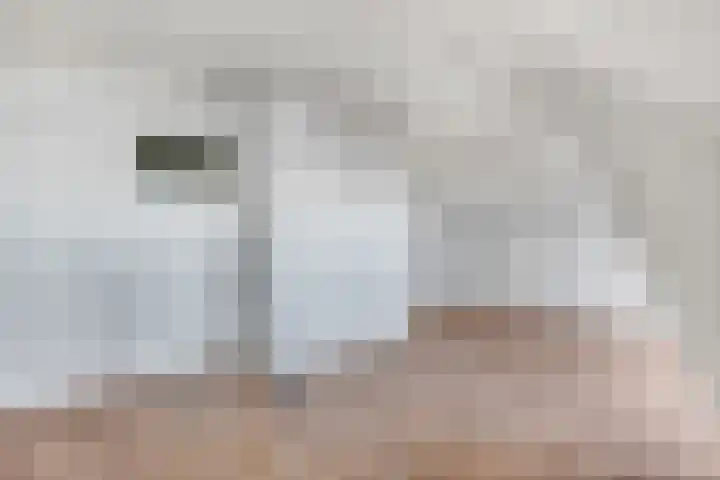 Tolhuiswal 29 Tiel thumbnail 21