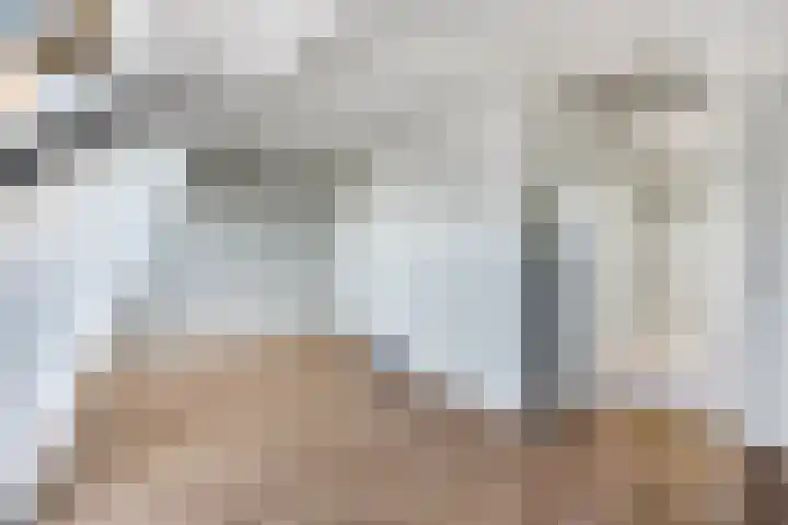 Tolhuiswal 29 Tiel thumbnail 22