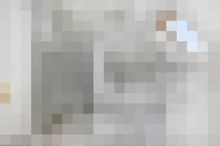 Tolhuiswal 29 Tiel thumbnail 23