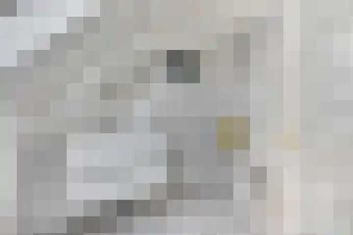Tolhuiswal 29 Tiel thumbnail 24