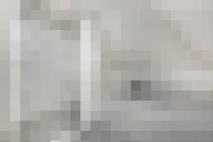 Tolhuiswal 29 Tiel thumbnail 25