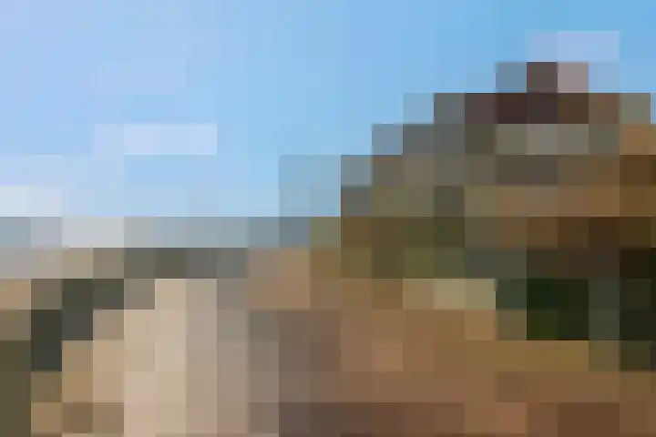 Tolhuiswal 29 Tiel thumbnail 7