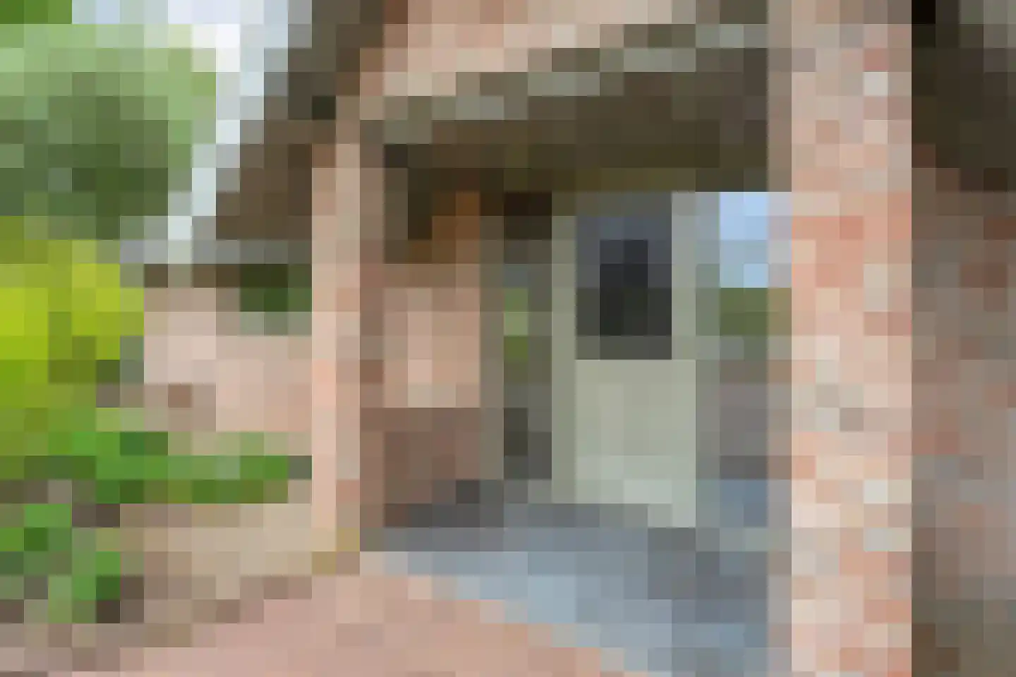 Tolhuisweg 28 Dalfsen thumbnail 10