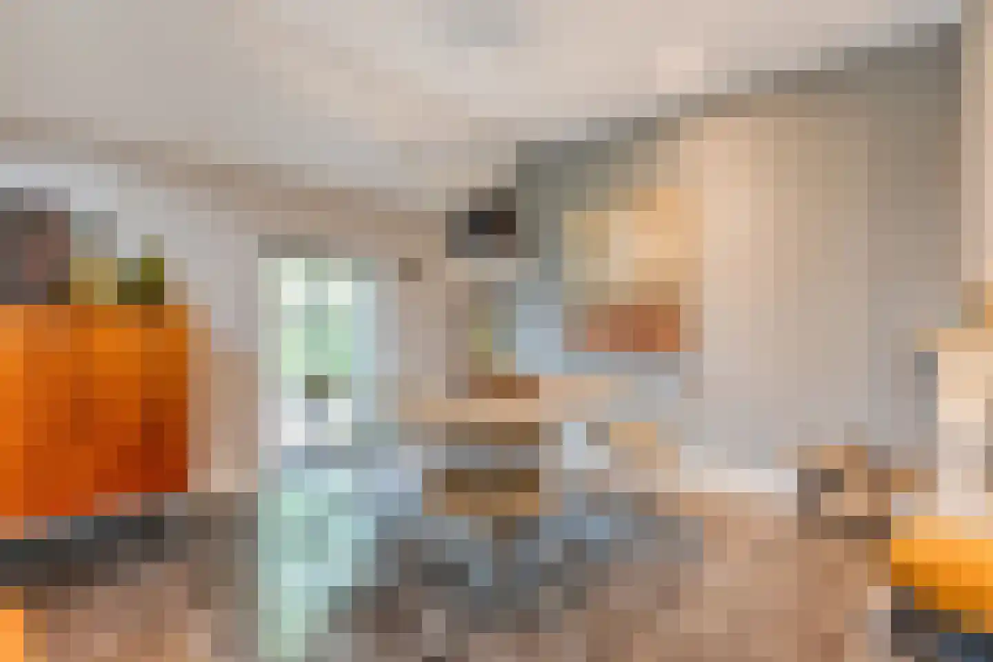 Tolhuisweg 28 Dalfsen thumbnail 15