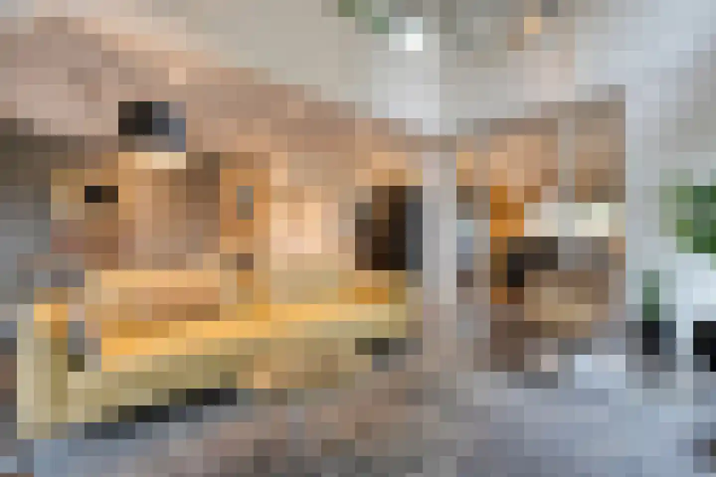 Tolhuisweg 28 Dalfsen thumbnail 19