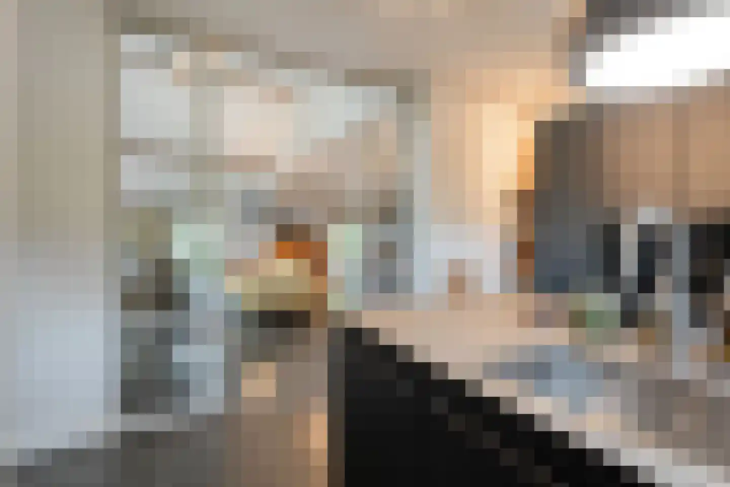 Tolhuisweg 28 Dalfsen thumbnail 24