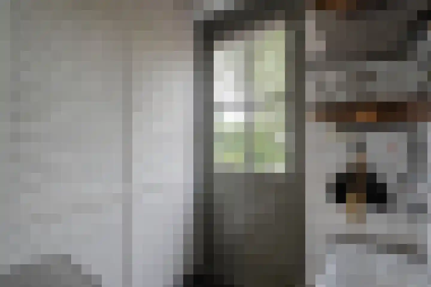 Tolhuisweg 28 Dalfsen thumbnail 25