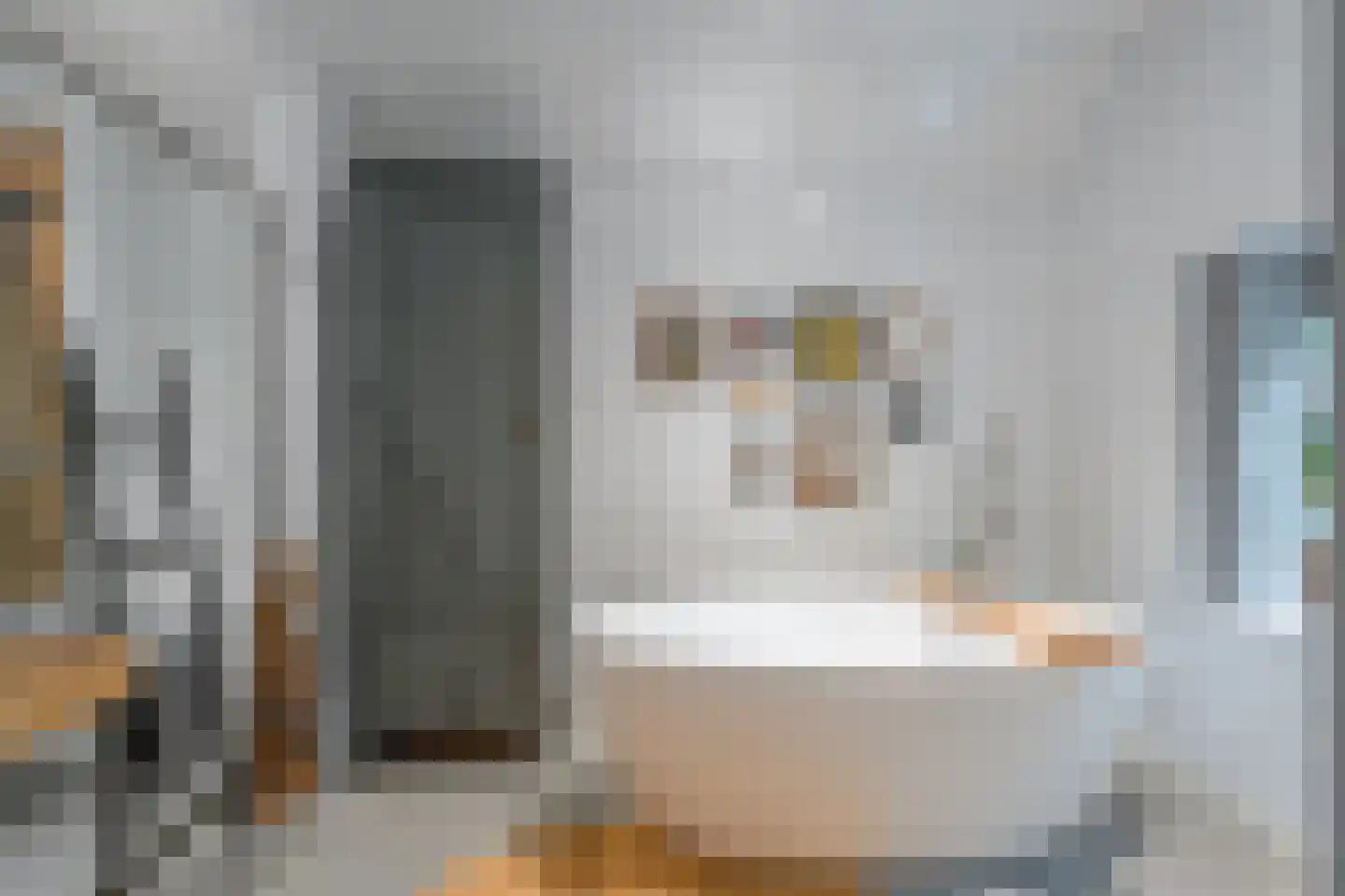 Tolhuisweg 28 Dalfsen thumbnail 29