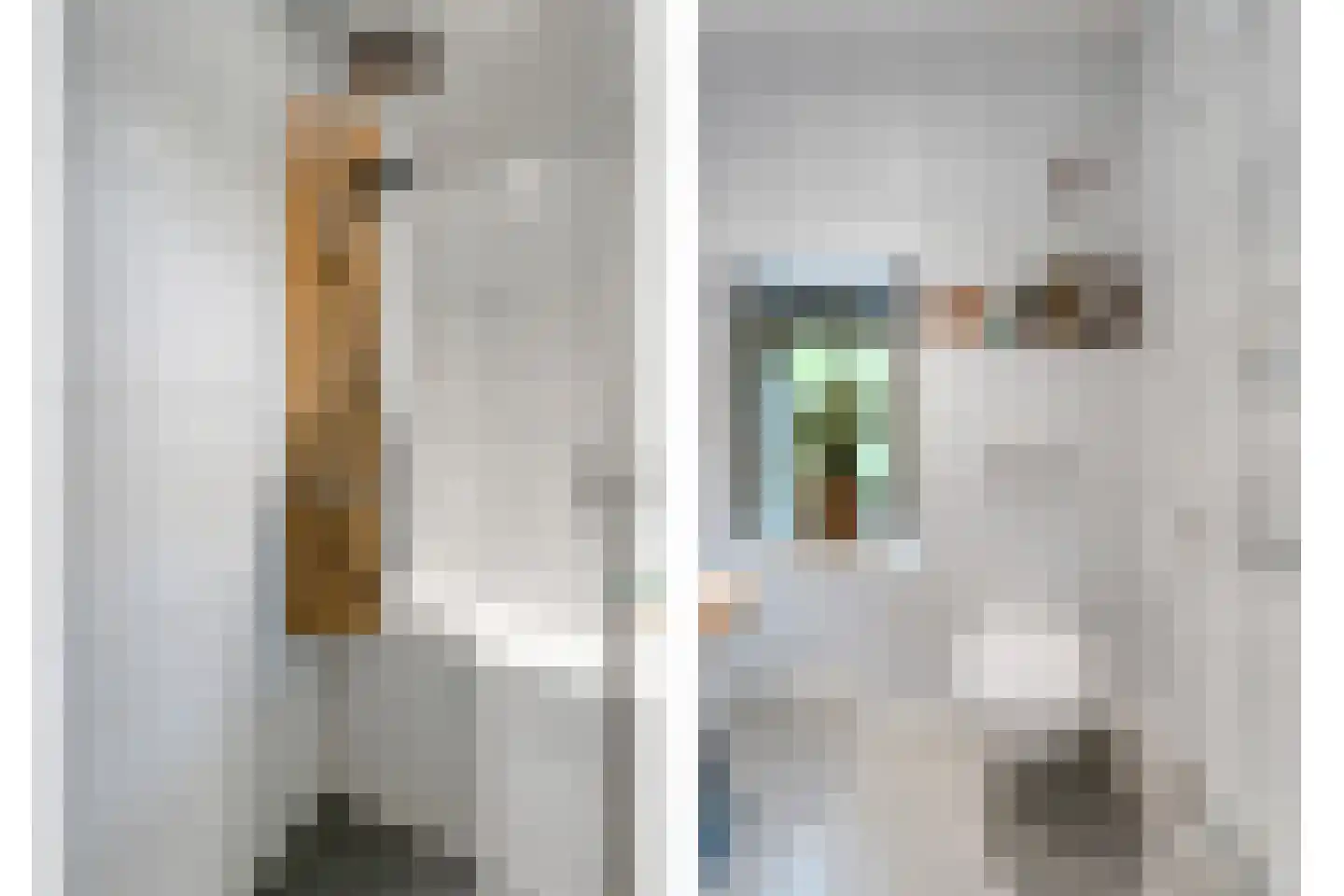 Tolhuisweg 28 Dalfsen thumbnail 30