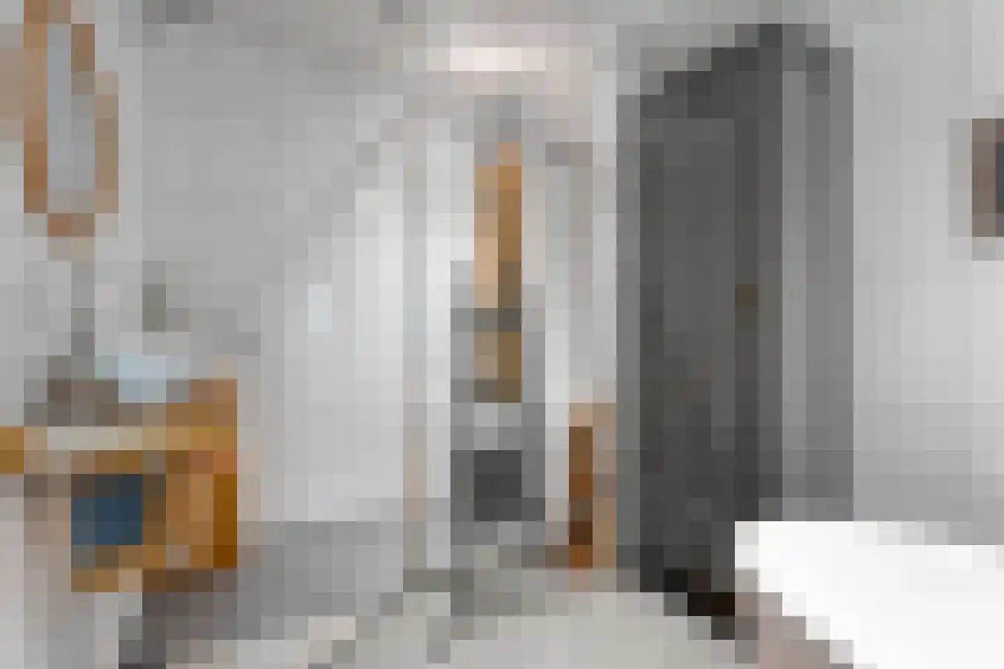 Tolhuisweg 28 Dalfsen thumbnail 31